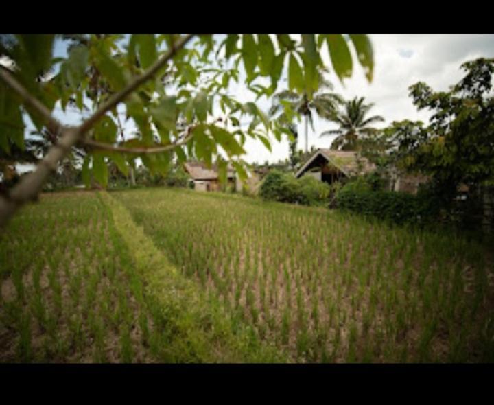 Citra Homestay Тетебату Экстерьер фото